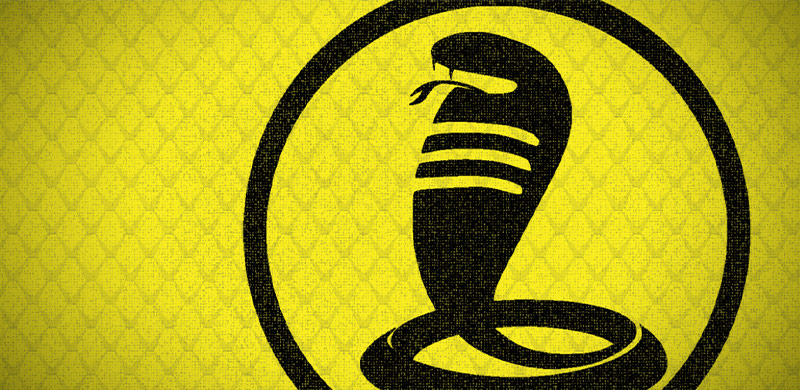Icon policy briefs